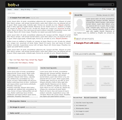 bobv3-premium-wordpress-theme.jpg