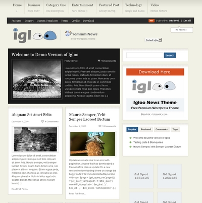 igloo-news-wordpress-theme.jpg