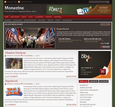 monezine_theme_for_videoblog.jpg
